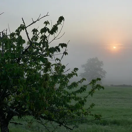Ferme Brasseyrou - Classique Privat bolig *