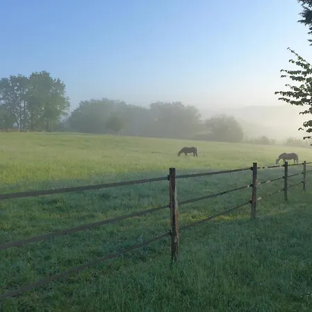 Ferme Brasseyrou - Classique * Devillac