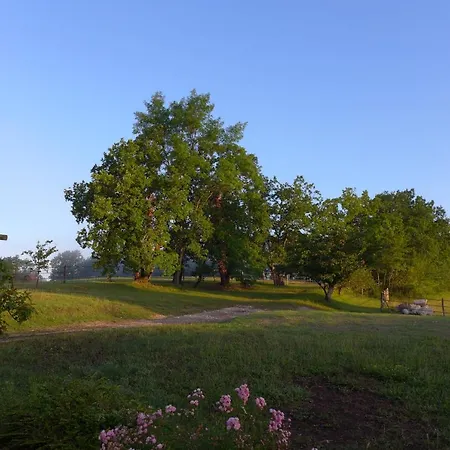 Ferme Brasseyrou - Classique Homestay Devillac