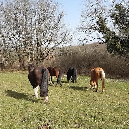 Ferme Brasseyrou - Classique Homestay