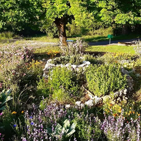 Ferme Brasseyrou - Classique Homestay szállás