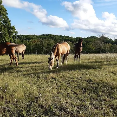 Ferme Brasseyrou - Classique Homestay