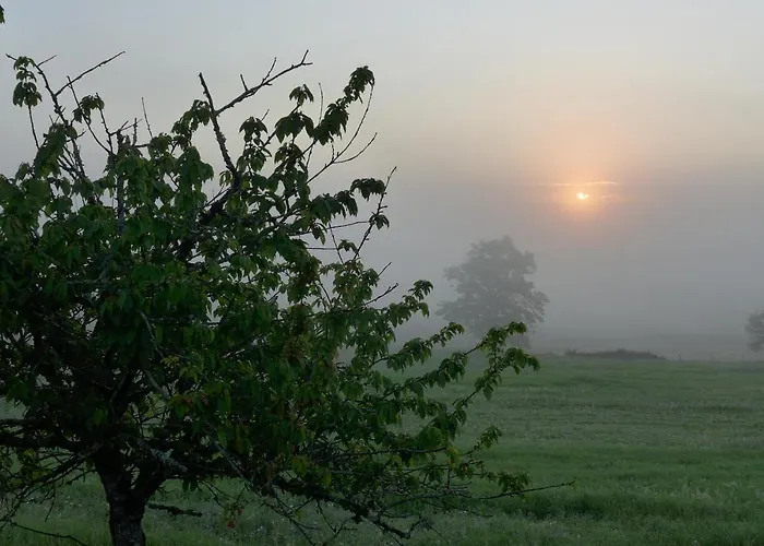 Ferme Brasseyrou - Classique منزل للإقامة *