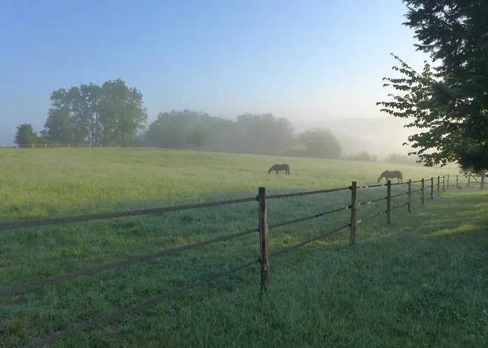Ferme Brasseyrou - Classique * Devillac