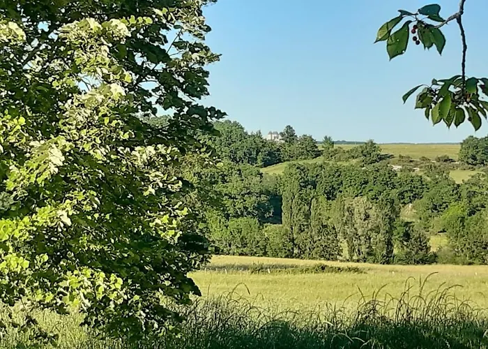 Ferme Brasseyrou - Classique منزل للإقامة