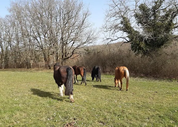 Ferme Brasseyrou - Classique منزل للإقامة